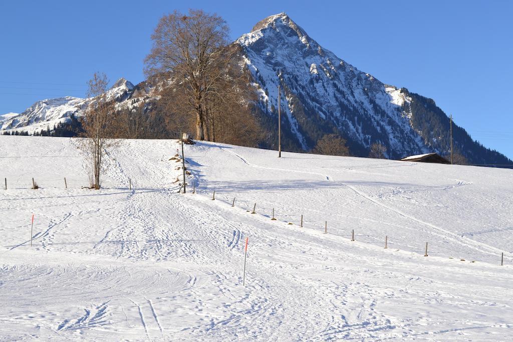 Hotel Aeschipark Aeschi Bei Spiez Luaran gambar